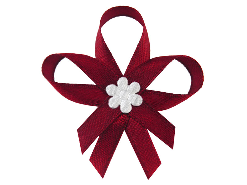 Anstecker Masche Bordeaux