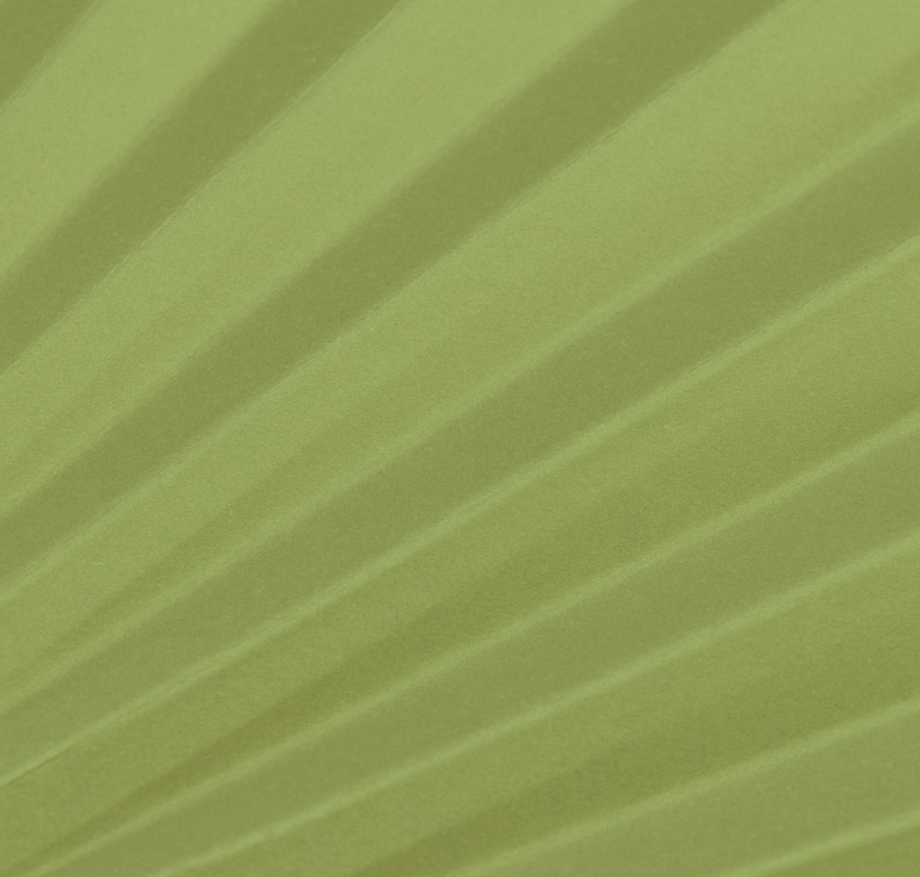 Premium Papierfächer Hellgrün