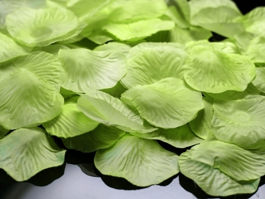 Rosenblüten klein Grün