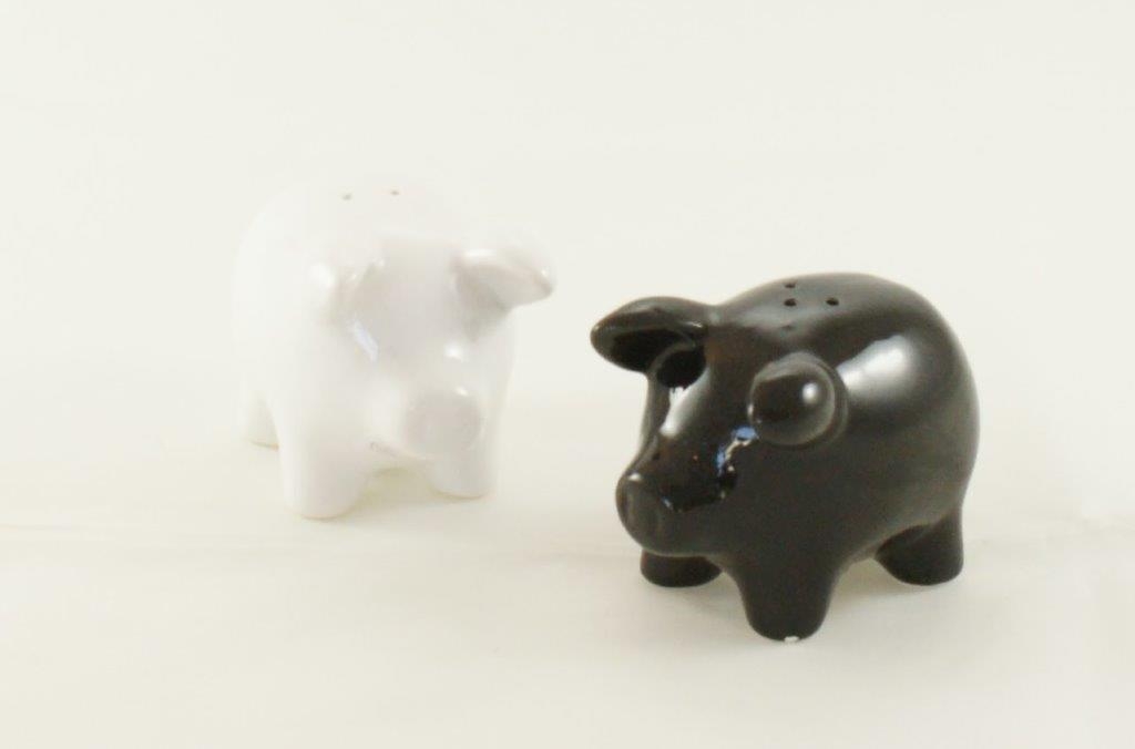 Salz und Pfeffer Schweinchen